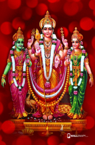 Dallas Murugan Temple 61 Tamil Kadavul Murugan