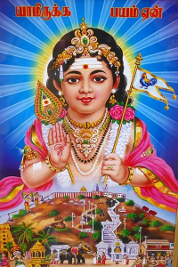 Dallas Murugan Temple 77 239646062_389333492832012_1123338140731543876_n